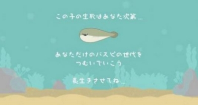 萨卡班甲鱼养成游戏中文版 截图1